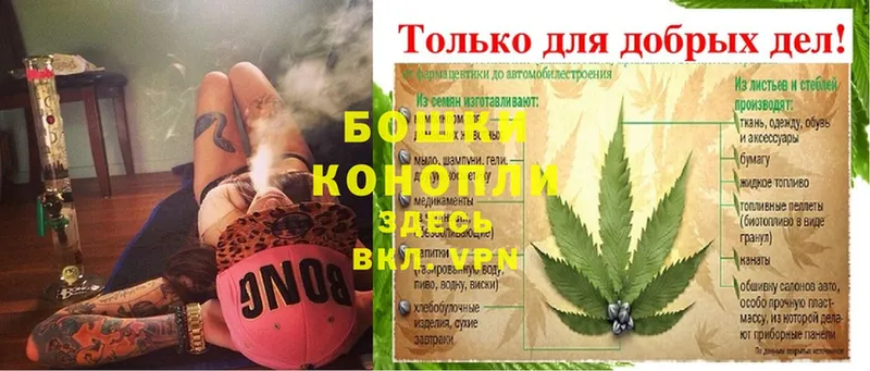 купить наркотики сайты  Долинск  Шишки марихуана OG Kush 